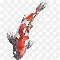 ½õÀðËØ²Ä-¿ÕÈôÍø ½õÀðËØ²Ä-¿ÕÈôÍø