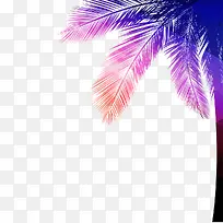 椰树-空若网 椰树-空若网