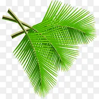 �ļ�Ҭ����֦�ز�-������