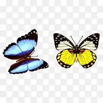 ����ɫ����-������