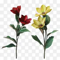 ������ͼƬ����ز�-������