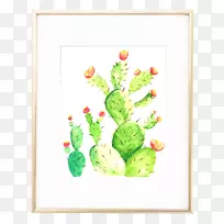 仙人掌科印刷画框水彩画评论水彩画仙人掌-空若网 仙人掌科印刷画框水彩画评论水彩画仙人掌-空若网