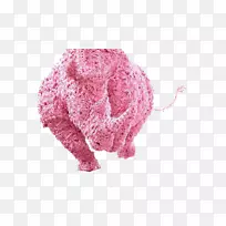 高清晰度电视1080 p犀牛3D高清视频壁纸粉红色犀牛-空若网 高清晰度电视1080 p犀牛3D高清视频壁纸粉红色犀牛-空若网