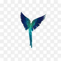 森林动物-空若网 森林动物-空若网