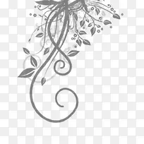 ͸����֦-������