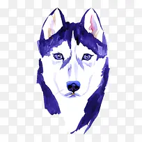 卡通可爱小动物装饰设计动物头像-空若网 卡通可爱小动物装饰设计动物头像-空若网