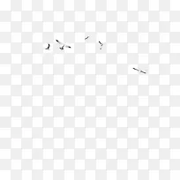 飞翔的海鸥-空若网 飞翔的海鸥-空若网