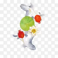 矢量金鱼-空若网 矢量金鱼-空若网