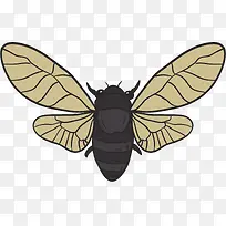 翅膀羽翼矢量卡通蝉-空若网 翅膀羽翼矢量卡通蝉-空若网