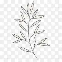 �ֻ濨ͨ�����֦-������