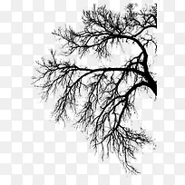 树枝 水墨画 中国画-空若网 树枝 水墨画 中国画-空若网