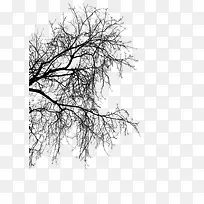 树枝 水墨画 中国画-空若网 树枝 水墨画 中国画-空若网