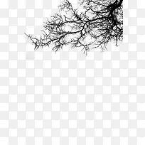 ��֦ ˮī�� �й���-������