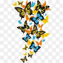 ��ʵĺ���-������