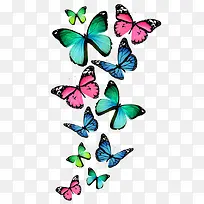 çÍ·×¶à²ÊµÄºûµû-¿ÕÈôÍø çÍ·×¶à²ÊµÄºûµû-¿ÕÈôÍø