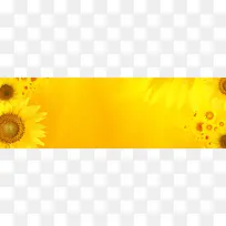 绚丽金黄色向日葵海报背景-空若网 绚丽金黄色向日葵海报背景-空若网