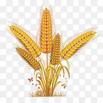 成熟的麦子-空若网 成熟的麦子-空若网