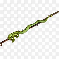 ��-������֦������-������