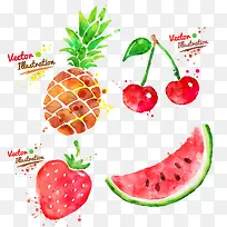 水彩水果-空若网 水彩水果-空若网
