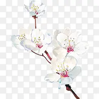 卡通花草素材-空若网 卡通花草素材-空若网