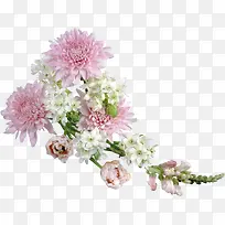 花卉图片花草矢量图素材-空若网 花卉图片花草矢量图素材-空若网