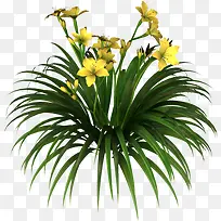 花草画ps花卉素材-空若网 花草画ps花卉素材-空若网