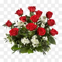 水彩花卉素材国画花草素材-空若网 水彩花卉素材国画花草素材-空若网