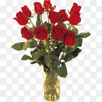 ps»¨»ÜËØ²ÄÖ²Îﻨ»ÜËØ²Ä-¿ÕÈôÍø ps»¨»ÜËØ²ÄÖ²Îﻨ»ÜËØ²Ä-¿ÕÈôÍø