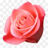 ���ݱ�ǩ���������ز�-������