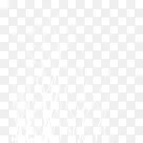 圣诞节装饰白色树枝图案-空若网 圣诞节装饰白色树枝图案-空若网