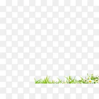 小草小花-空若网 小草小花-空若网