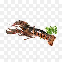 小龙虾广告海报设计-空若网 小龙虾广告海报设计-空若网