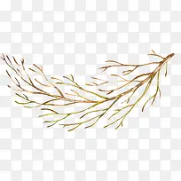 ��֦-������