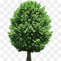 ���ⰻȻ����-������