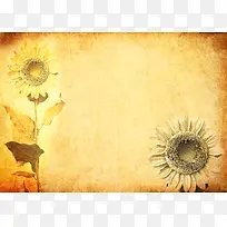 �������տ�������-������