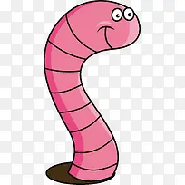 蚯蚓-空若网 蚯蚓-空若网