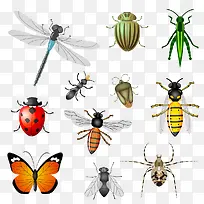 创意卡通昆虫-空若网 创意卡通昆虫-空若网