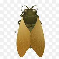 矢量卡通棕色知了-空若网 矢量卡通棕色知了-空若网