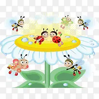 小昆虫和白色花朵-空若网 小昆虫和白色花朵-空若网