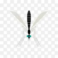 ¿¨Í¨ºÚÉ«ÎÃ×Ó-¿ÕÈôÍø ¿¨Í¨ºÚÉ«ÎÃ×Ó-¿ÕÈôÍø