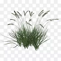 ¹ÛÉÍ²ÝÆº¼ôÌù»¹ÛÉÍÐÔ-¿ÕÈôÍø ¹ÛÉÍ²ÝÆº¼ôÌù»¹ÛÉÍÐÔ-¿ÕÈôÍø