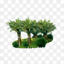 大树-空若网 大树-空若网