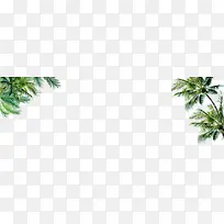 ����Ԫ��-��֦-������