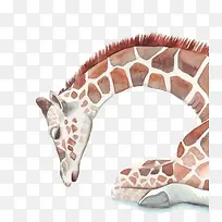 ˮ���ֻ泤��¹-������