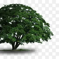 ����-������