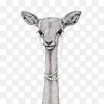 �ڰײ廭����-������