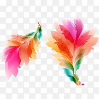 ������ɫ��ë-������