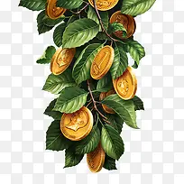 树枝上的金币-空若网 树枝上的金币-空若网