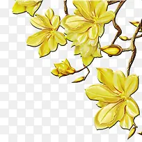 树枝-空若网 树枝-空若网