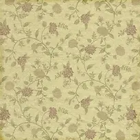 秋天花卉背景-空若网 秋天花卉背景-空若网